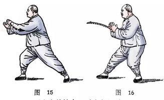 揽雀尾慢动作视频讲解,动作要领与技巧深度剖析