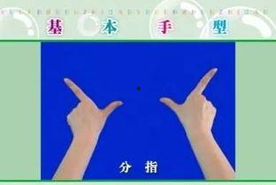 小班手指操视频,小班手指操视频集锦