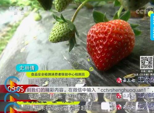 草莓视频最污,揭秘最污瞬间，带你领略网络奇观