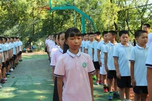 小学生军训视频,小学生的成长蜕变之旅