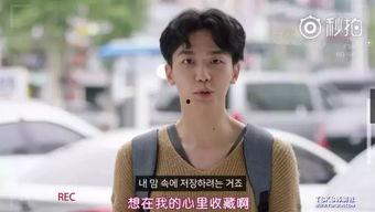 一级做爱免费视频,带你探索网络色情内容的暗流涌动