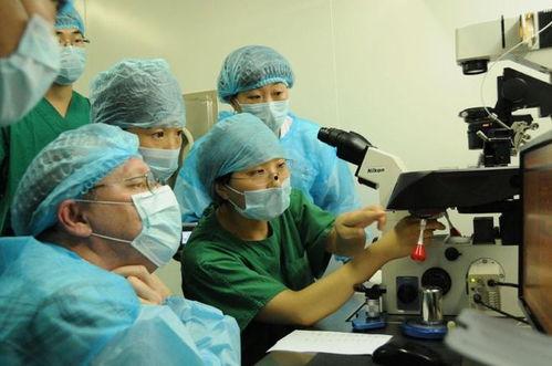 试管婴儿手术视频,从取卵到胚胎移植的神奇之旅