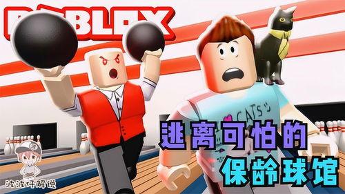 波波仔视频,趣味横生的日常瞬间，带你领略欢乐时光