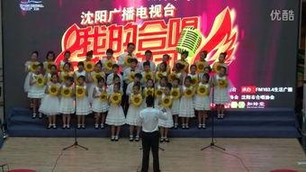 歌声与微笑合唱视频,传递温暖与希望的合唱盛宴