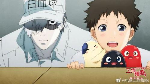 工作细胞视频,微观世界中的生命奇迹