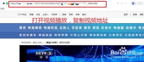 央视网视频如何下载,轻松掌握下载技巧